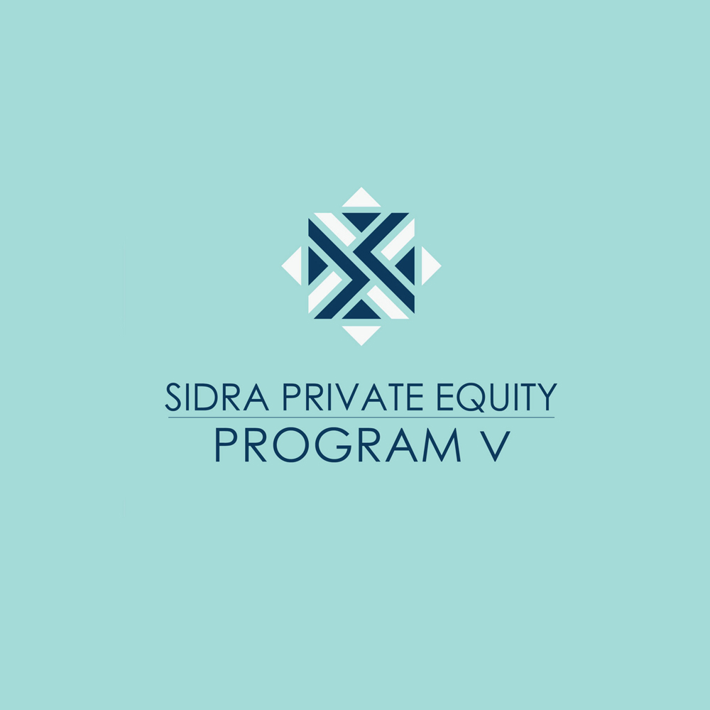 Private Equity Program V